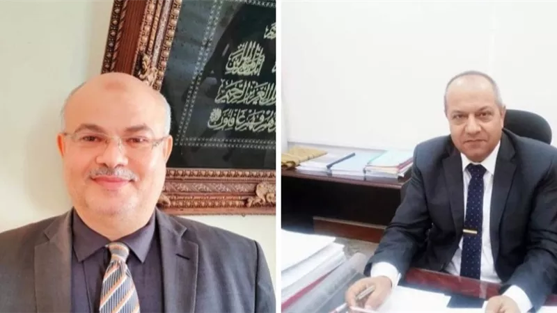 قطع الكهرباء عن لوحة أبوالاخضر وبعض قرى الزقازيق غدا