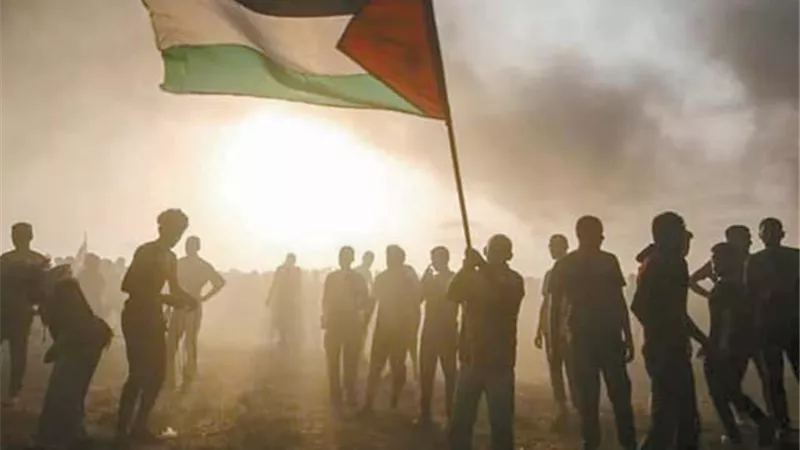 نجوم الفن يواصلون التضامن مع الشعب الفلسطيني
