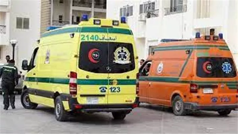 خلافات الجيرة انتهت بجريمة.. الموظف ونجله قتلوا عامل الرخام بالغربية