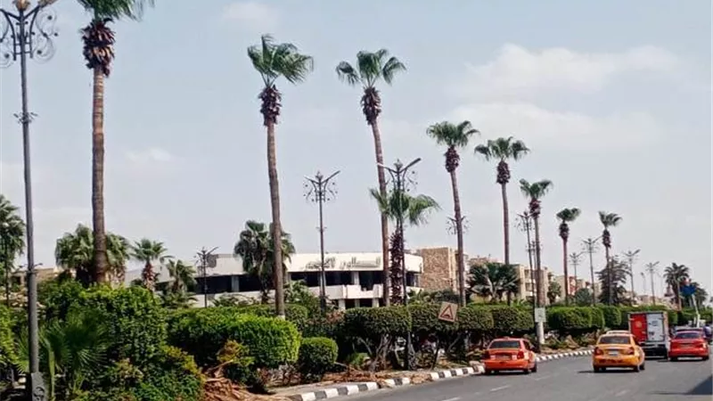 ميادين الاسماعيلية 