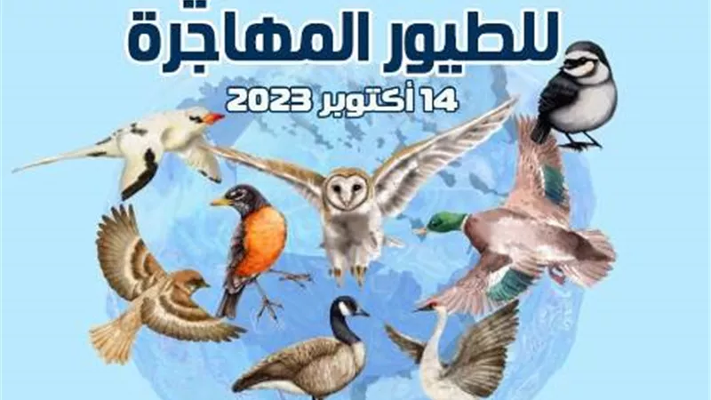 مصر تشارك العالم بالاحتفال باليوم العالمى للطيور المهاجرة