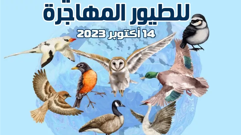 اليوم مصرتشارك دول العالم الاحتفال باليوم العالمى للطيور المهاجرة
