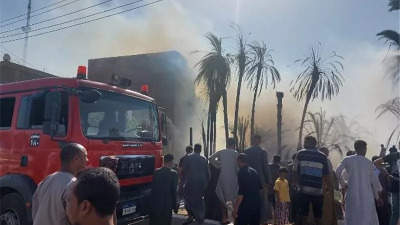 السيطرة على حريق بعدد من أشجار النخيل بإسنا جنوب الأقصر