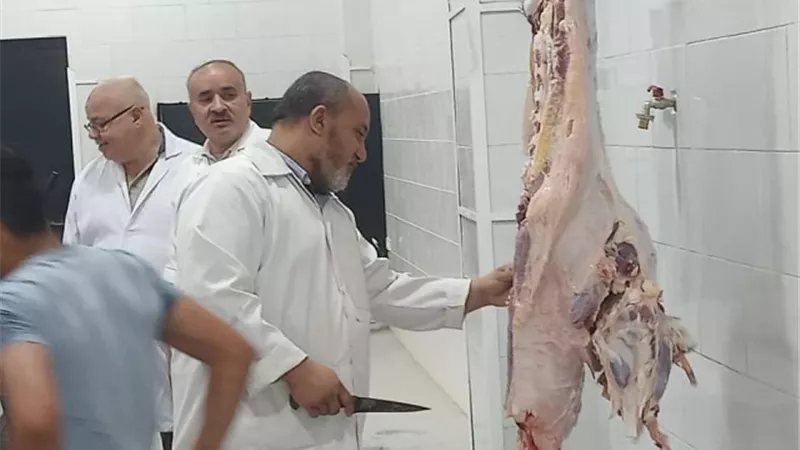 افتتاح وتشغيل مجزر سنورس بعد إحلاله وتطويره فى الفيوم