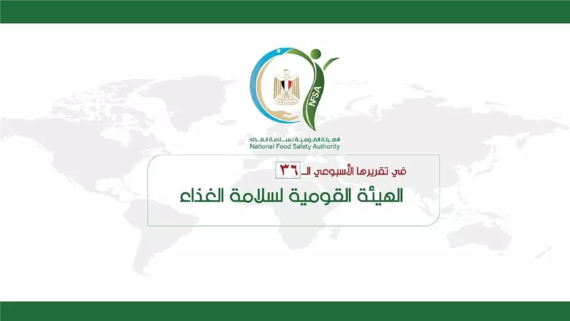 السعودية والسودان والمغرب أكبر الأسواق المستقبلة لصادرات مصر
