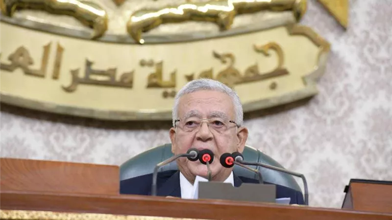 رئيس النواب:ارتباطُ مصرَ بقضيةِ فلسطينَ راسخٌ تمليهُ رابطةُ الدمِ