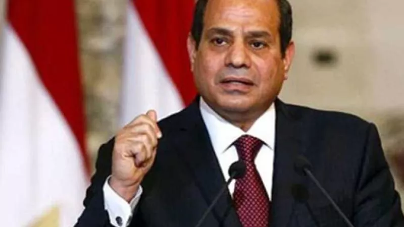 مصر ترفض سياسة التهجير ومحاولات تصفية القضية الفلسطينية على حساب دول الجوار