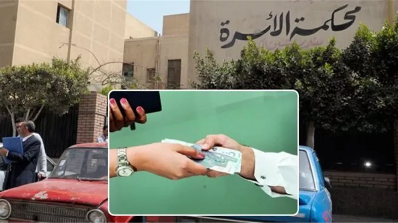 مطلقة تقيم دعوى نفقة أقارب ضد والدة مطلقها وتدعي سرقتها نفقاتها