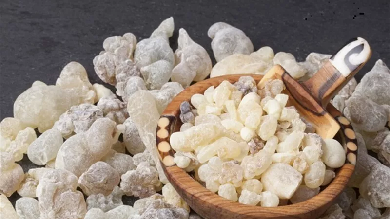5 فوائد صحية لشرب منقوع لبان الذكر على الريق