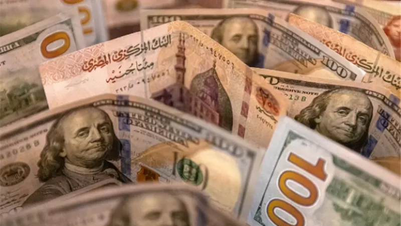 استقرار أسعار الدولار وارتفاع 