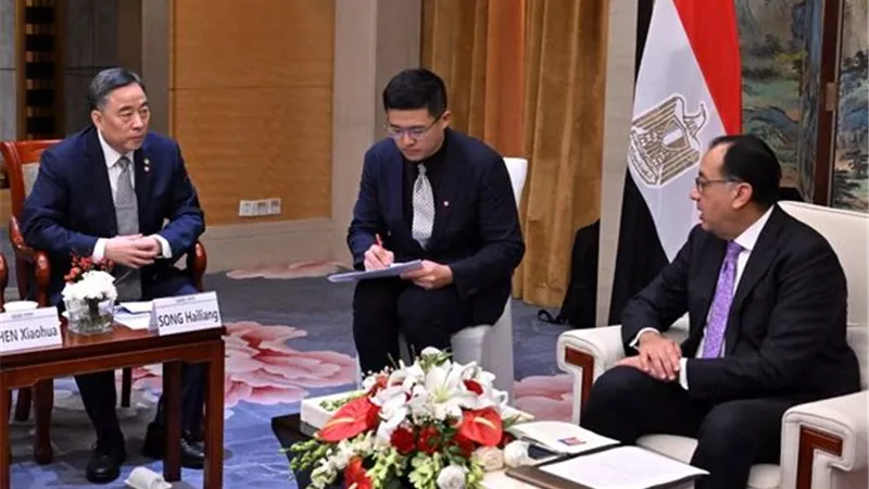 رئيس الوزراء يلتقي رئيس شركة 