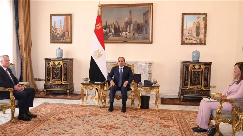 الرئيس السيسي يستقبل سكرتير عام منظمة التعاون الاقتصادي
