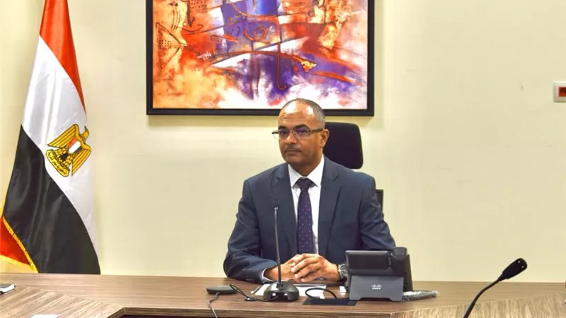 الدكتور سيد إسماعيل