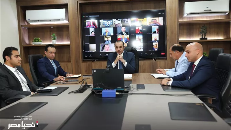 الحملة الرسمية للمرشح عبد الفتاح السيسي تلتقي المصريين بالخارج عبر 