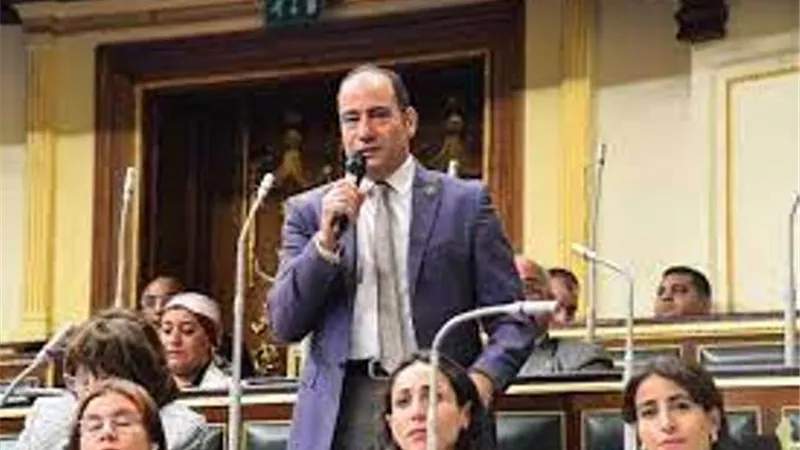 برلماني: قطاع الصناعة على رأس الأولويات للقيادة السياسية .. فيديو