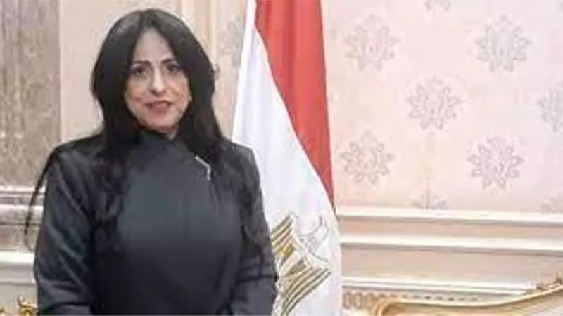ميرال هريدى تشيد بكلمة الرئيس السيسى : عبرت عن موقفنا الثابت من قضية فلسطين