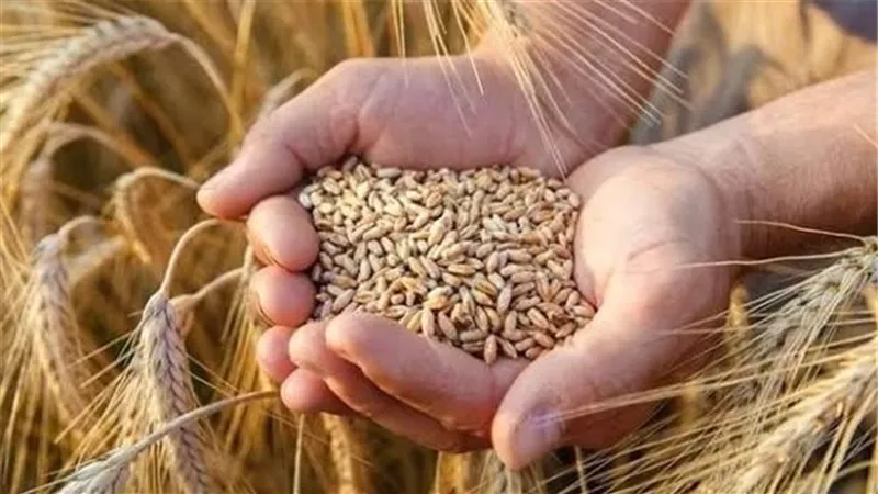 موسكو تبرم صفقة بـ25.7 مليار دولار لتوريد منتجات روسية للصين