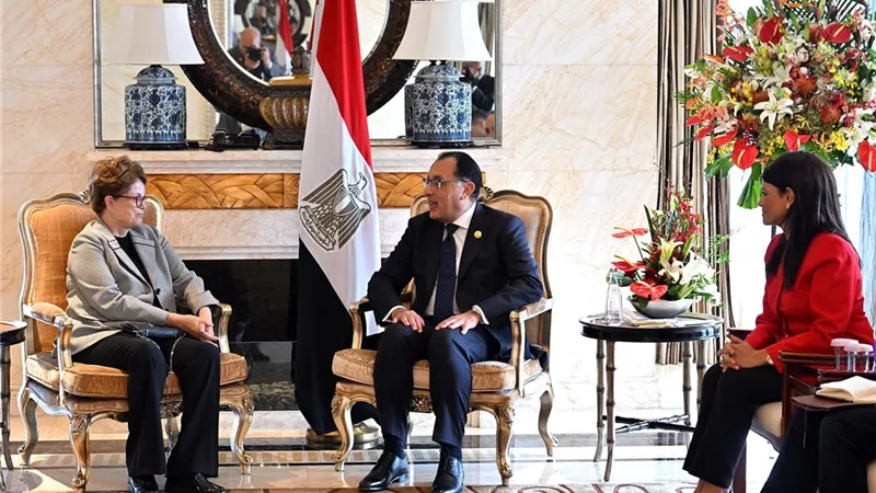 رئيس الوزراء يلتقي رئيسة بنك التنمية الجديد التابع لتجمع البريكس