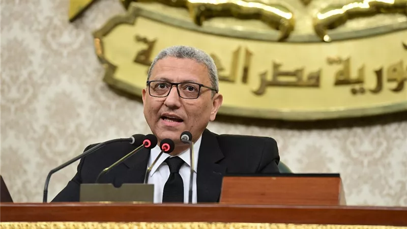 وكيل النواب: تحركات الرئيس السيسي بشأن القضية الفلسطينية لا تنبع إلا من قائد رشيد