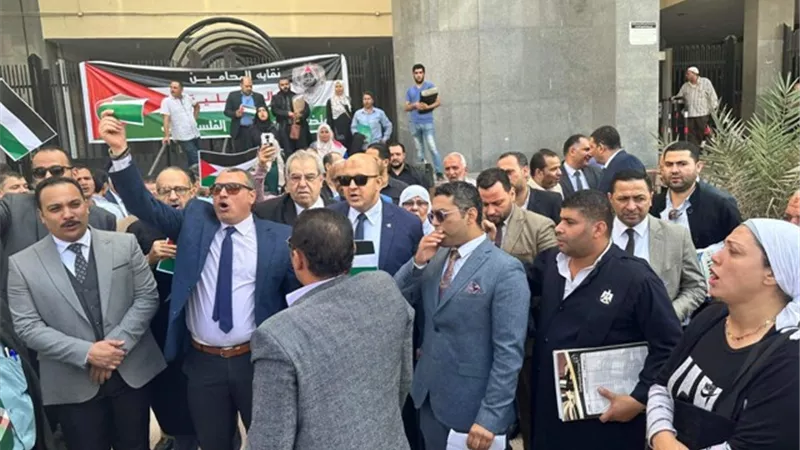 وقفه لمحامين الدقهلية تضامنا مع الشعب الفلسطيني