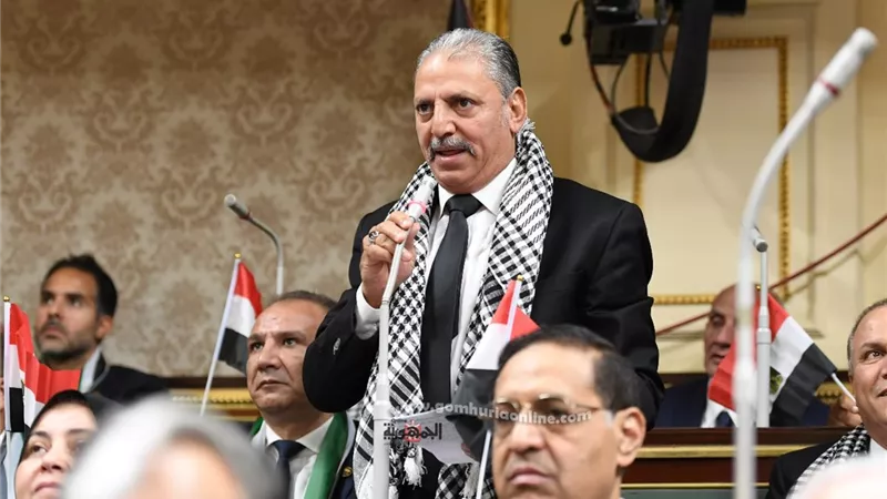 وكيل 
