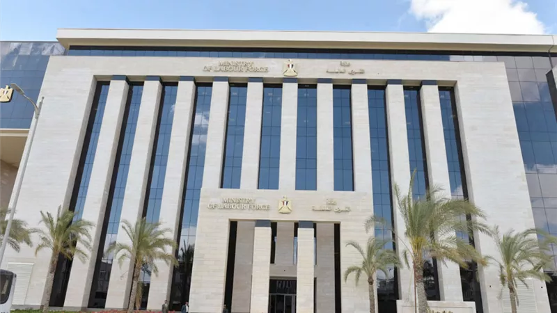 وزارة العمل تعلن عن 6361 فرصة عمل بـ 12 محافظة.. تفاصيل