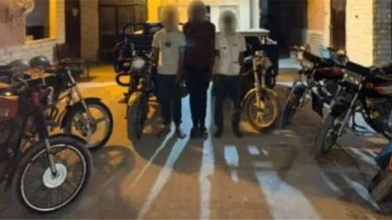 الداخلية تضبط حرامية الشوارع والشقق السكنية في 3 محاظات