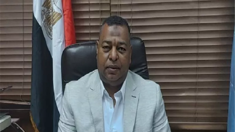 نفوض السيسى فى الحفاظ على الامن القومى المصرى والعربى