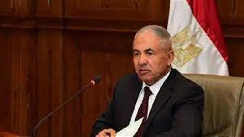 العوضى: تصريحات السيسى تعبير صريح عن موقفنا.. ومصر لن تكون لغير المصريين