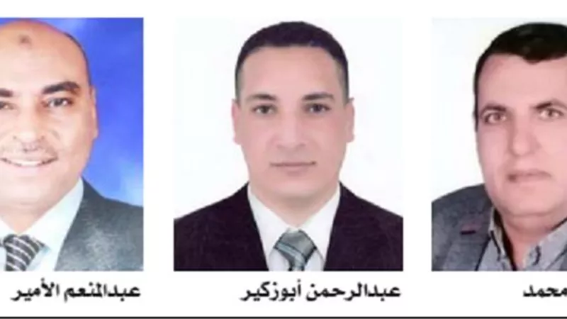 فرسان 