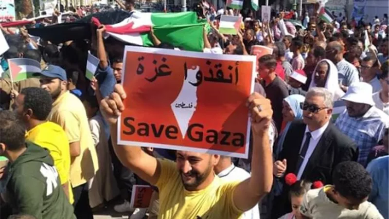 ملحمة تاريخية لدعم القضية الفلسطينية بالوادى الجديد