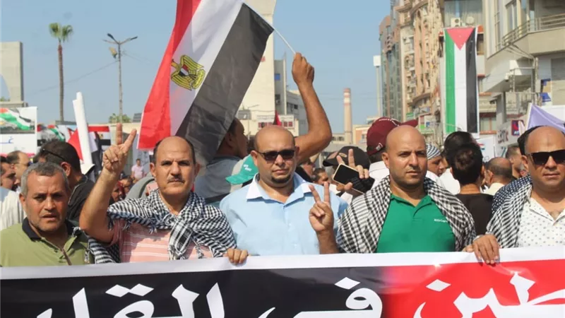 الآلاف في مسيرات ووقفة تضامنية مع فلسطين بالدقهلية..صور