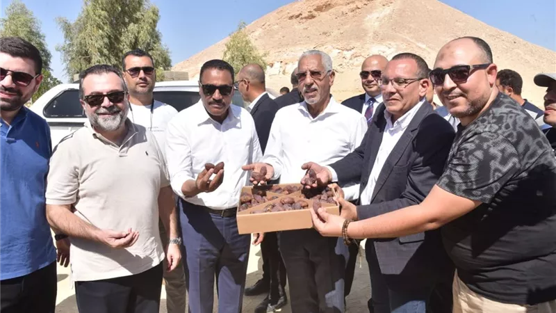 محافظ مطروح يتفقد مزرعتين للنخيل على هامش مهرجان التمور بسيوة