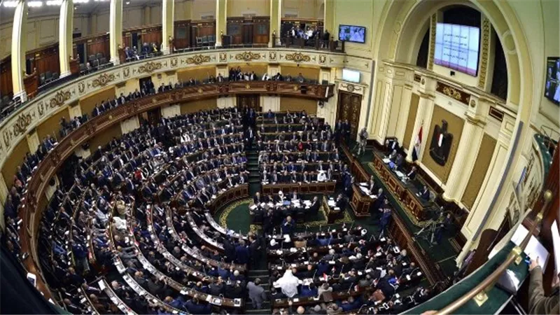 اعضاء النواب والشيوخ : قمة القاهرة للسلام نقطة فارقة فى تاريخ القضية الفلسطينية