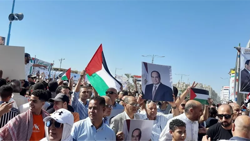 الآف السوايسة بميدان إسماعيل ياسين للتنديد بالعدو على غزة