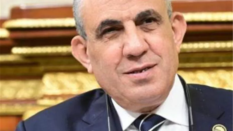 رئيس قوى عاملة النواب:دخول المساعدات الى غزة تؤكد قوة وزعامة مصر