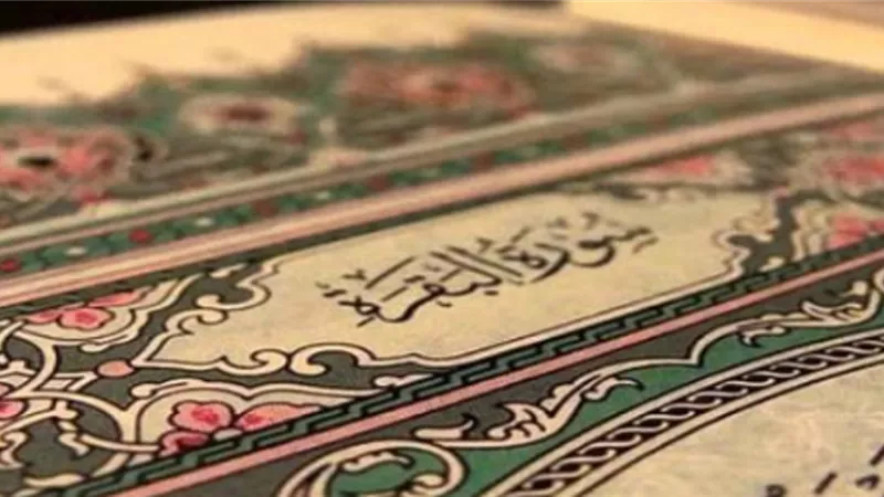 الافتاء ترد..هل قراءة سورة البقرة والملك في اليوم تكفي؟