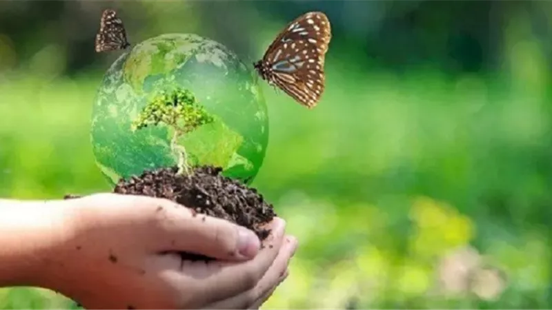 التنوع البيولوجي العالمي في أزمة .. علماء البيئة يحذرون