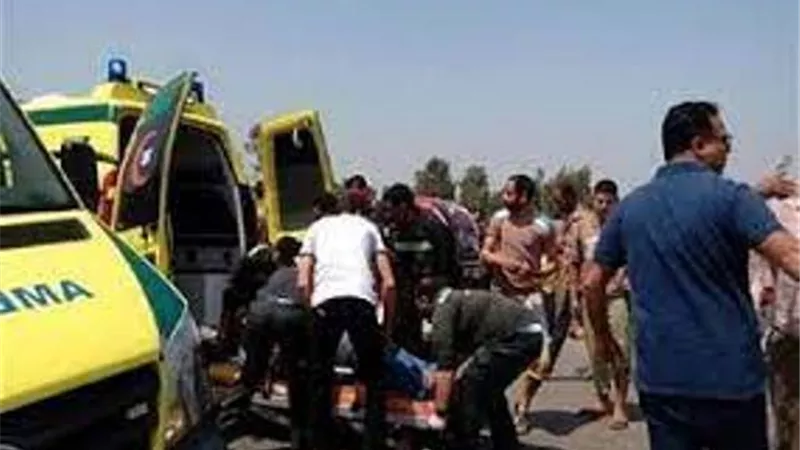 بالأسماء.. إصابة 12 فى انقلاب ميكروباص في المنيا