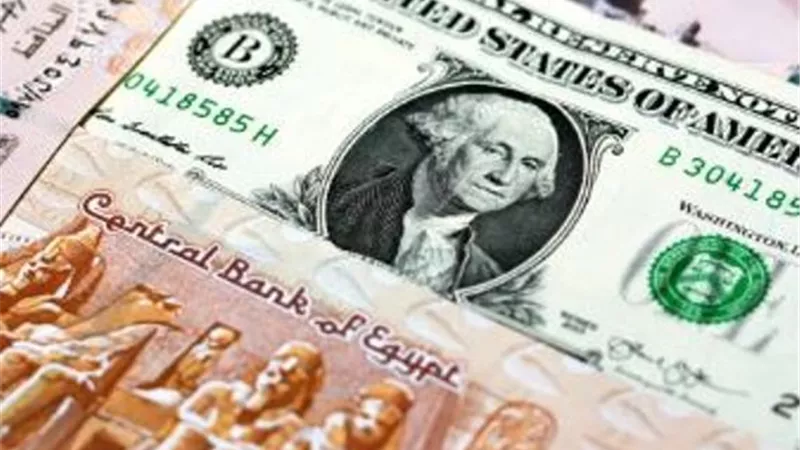استقرار أسعار صرف الدولار مقابل الجنيه المصري في بداية التعاملات