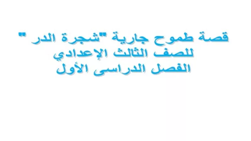 مذكرة تلخيص لقصة 