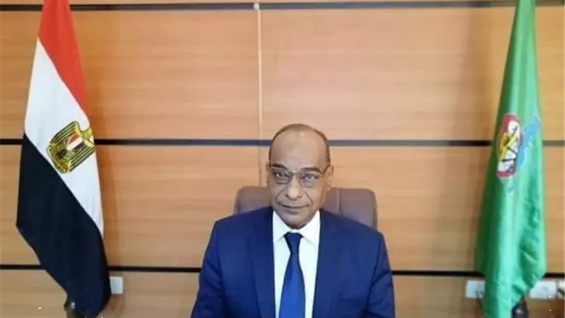 اكرم حسن: ضعف القراءة والكتابة قضية قومية