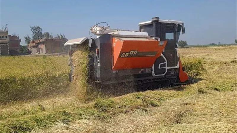 محافظ الشرقية: الإنتهاء من حصاد 273478 فدانا
