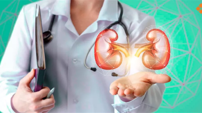 7 عادات يومية قد تضر الكلى