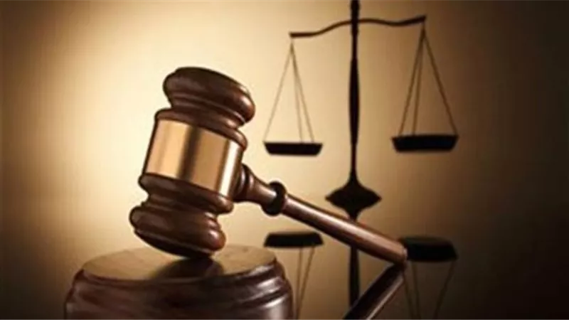 سارق فيلا الوايلى امام المحاكمة الجنائية