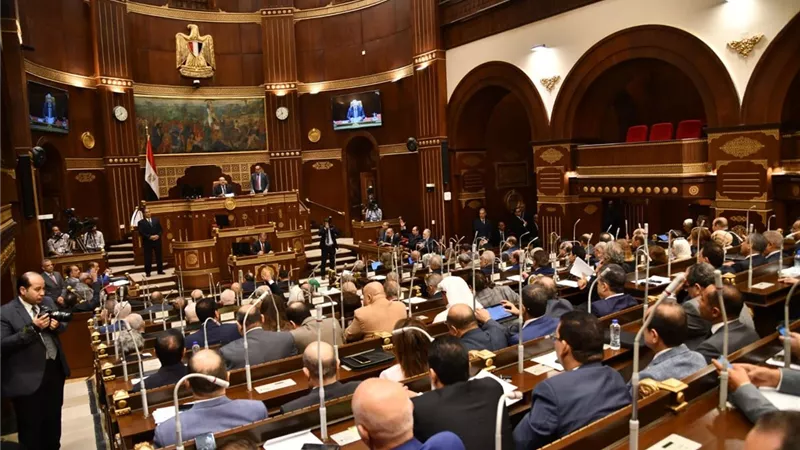 رئيس برلمانية حماة الوطن بالشيوخ: صناعة الأسمدة لها مردود إيجابي