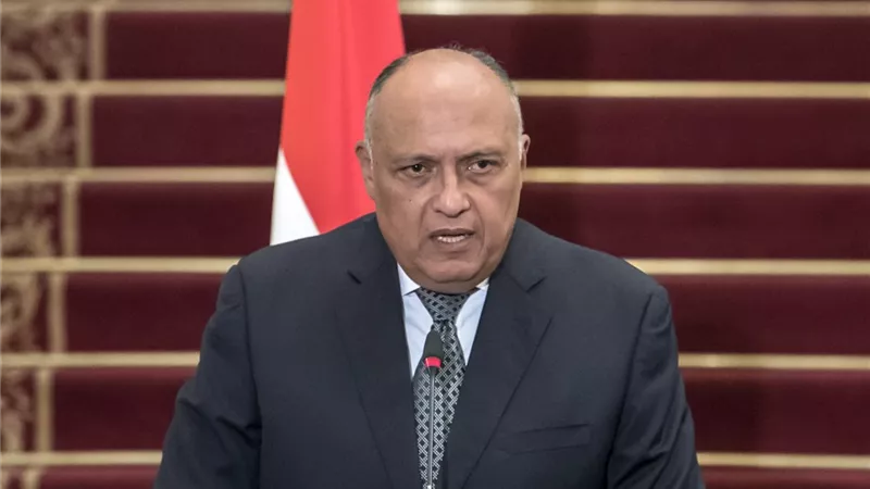 وزير الخارجية: نرفض ازدواجية المعايير فيما يخص ما يحدث فى غزة