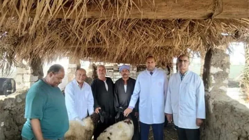 بيطري المنيا يواصل الحملة القومية لتحصين الماشية