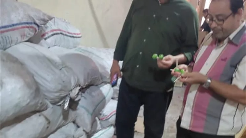 مديرية الصحة بالقليوبية