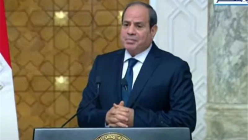 السيسى: القضية الفلسطينية تؤثر على العالم العربى والاسلامى